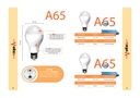 VOLTEZE LED BULB 12W 6500k لمبه ليد فولتز 12 وات ابيض